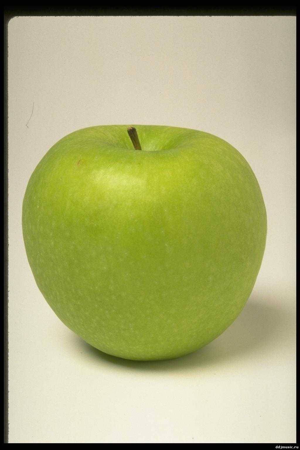 Яблоки зеленые сорта
