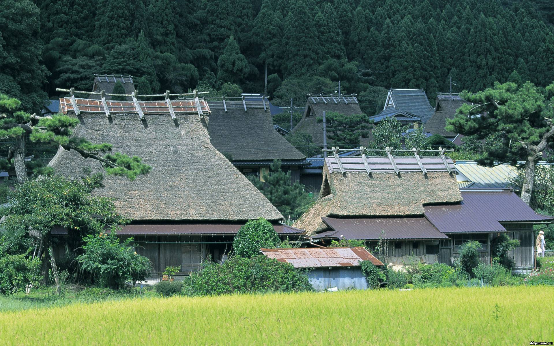 Japanese village. Японская деревня. Японский деревенский дом. Япония Сельская местность. Деревенский домик в Японии.